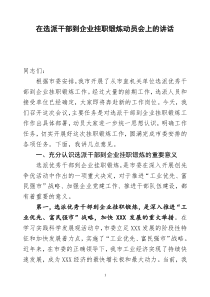 在选派优秀干部到企业挂职会议上的讲话(审定稿)