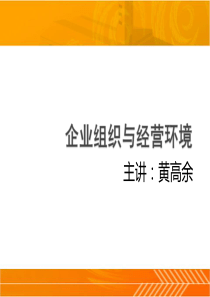 企业组织与经营环境第3章企业组织类型