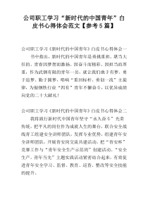 公司职工学习“新时代的中国青年”白皮书心得体会范文【参考5篇】