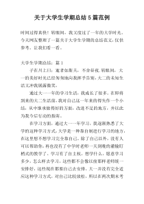 关于大学生学期总结5篇范例