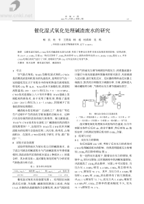 催化湿式氧化处理碱渣废水的研究