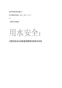 对里约会议以来政策发展情况的初步评估