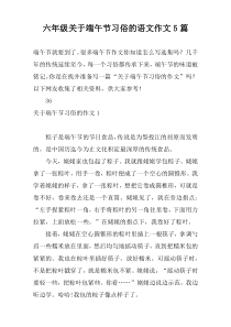 六年级关于端午节习俗的语文作文5篇