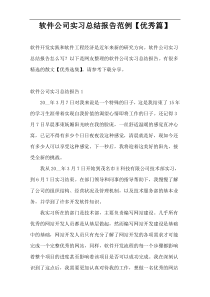 软件公司实习总结报告范例【优秀篇】