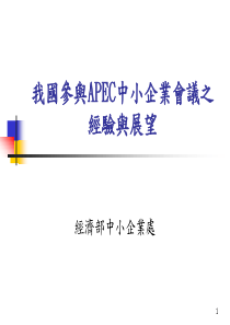 我国参与APEC中小企业会议之经验与展望(PPT 32页)