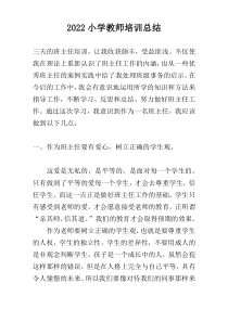 2022小学教师培训总结