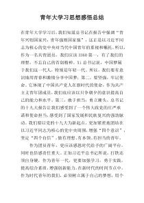 青年大学习思想感悟总结