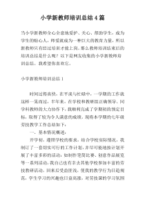 小学新教师培训总结4篇