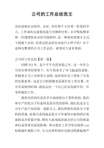 公司的工作总结范文