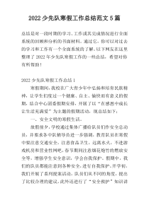 2022少先队寒假工作总结范文5篇