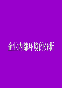 圣简：企业内部环境分析