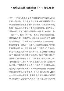 “致维吾尔族同胞觉醒书”心得体会范文