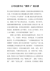 公司纪委书记“榜样3”观后感