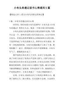 小布头奇遇记读书心得通用5篇