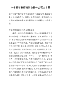 中学青年教师培训心得体会范文3篇