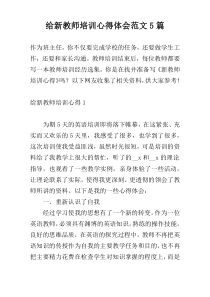 给新教师培训心得体会范文5篇