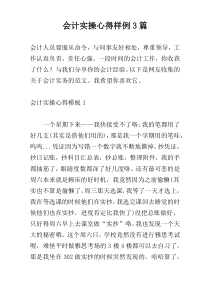 会计实操心得样例3篇