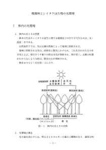 复层林场光环境