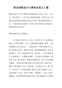 职业体验会计心得体会范文5篇