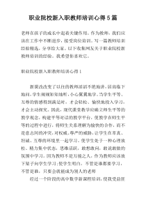 职业院校新入职教师培训心得5篇