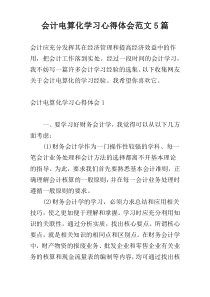 会计电算化学习心得体会范文5篇