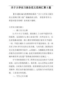 关于大学实习报告范文范例汇聚5篇