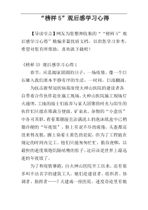 “榜样5”观后感学习心得