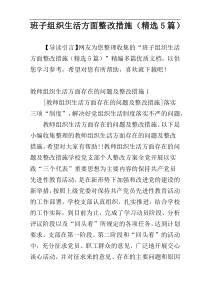 班子组织生活方面整改措施（精选5篇）