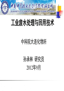 孙承林-工业废水处理技术产业化-XXXX年9月15日