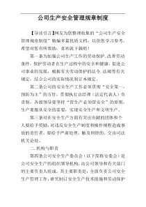 公司生产安全管理规章制度