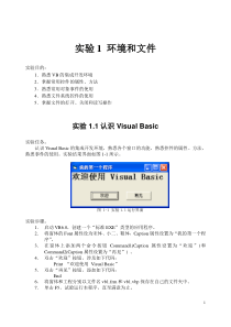 实验1VB编程环境和文件