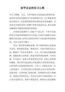 标竿企业的实习心得