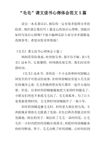 “毛毛”课文读书心得体会范文5篇