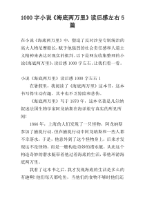 [1000字]小说《海底两万里》读后感左右5篇