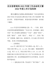 区应急管理局2022年度工作总结范文暨2022年度工作计划范例