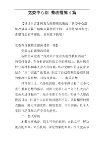 党委中心组 整改措施4篇