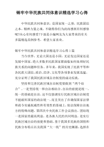 铸牢中华民族共同体意识精选学习心得