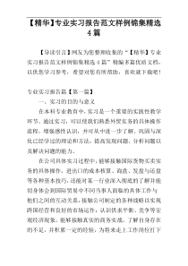 【精华】专业实习报告范文样例锦集精选4篇