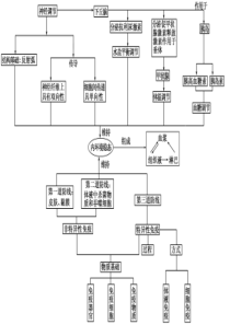 必修三内环境神经调节复习