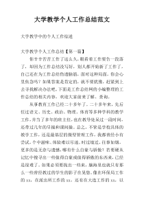 大学教学个人工作总结范文