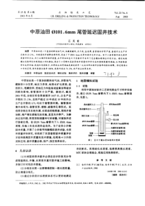 中原油田φ101.6mm尾管延迟固井技术