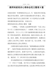 教师岗前培训心得体会范文整理8篇