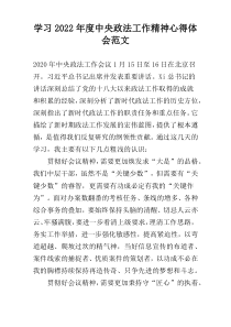 学习2022年度中央政法工作精神心得体会范文