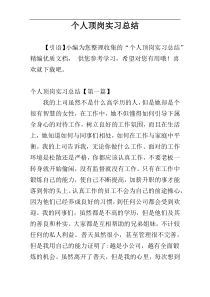 个人顶岗实习总结