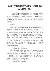 新疆小学教师政治学习培训心得体会范文（精编3篇）