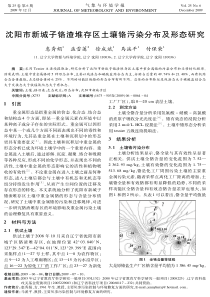 沈阳市新城子铬渣堆存区土壤铬污染分布及形态研究