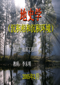 沉积相和沉积环境（PDF30页）