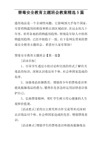 禁毒安全教育主题班会教案精选5篇