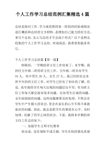 个人工作学习总结范例汇集精选4篇