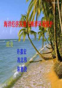 海洋经济发展与海洋环境保护